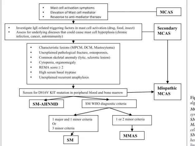 Figure 3. Diagnostic  algorithm. 