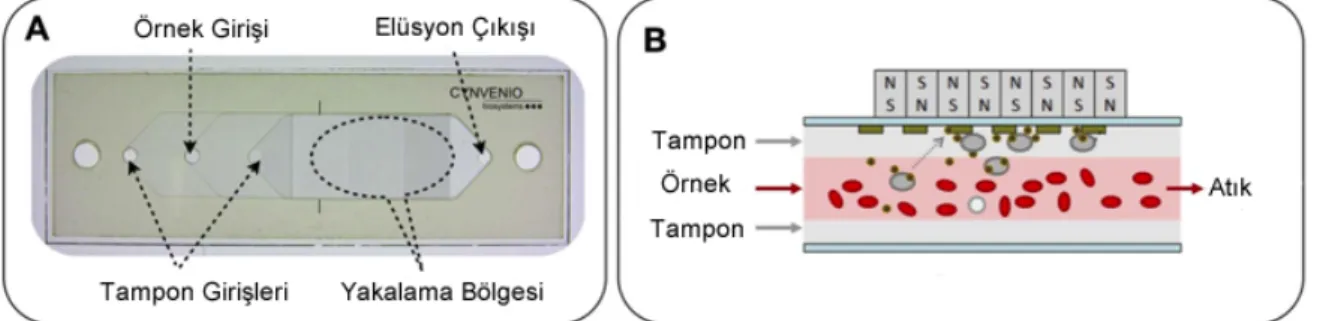 Şekil 2.13 LiquidBiopsy platformu [47] 