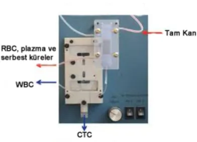 Şekil 2.16 CTC-ichip [53]  Çip Üretiminin Çeşitlendirilmesi: 