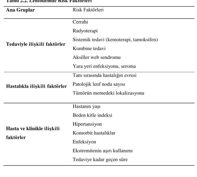 Tablo 2.2. Lenfödemde Risk Faktörleri 