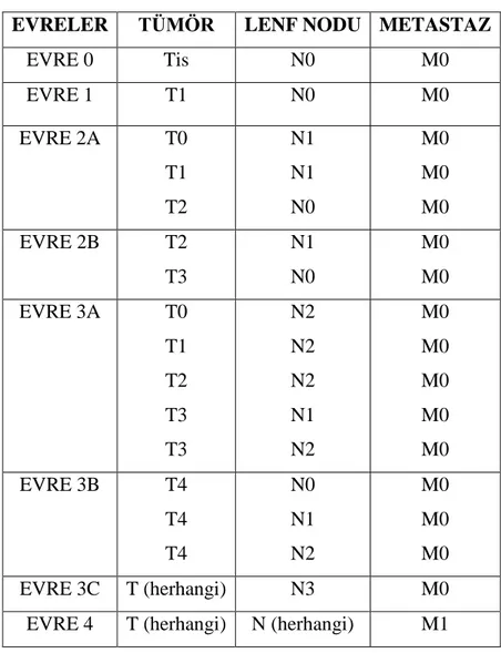 Tablo 1. TNM evre gruplamaları 