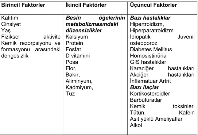 Tablo 2.2. Osteoporozun OluĢumundaki Faktörler                                    Birincil Faktörler                Ġkincil Faktörler                        Üçüncül Faktörler 