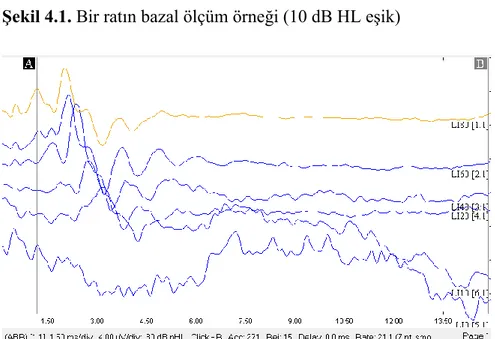 Şekil 4.1. Bir ratın bazal ölçüm örneği (10 dB HL eşik) 