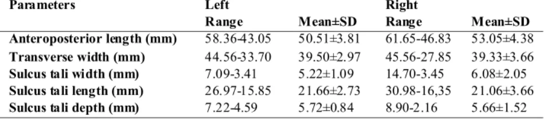Table I. Number and percentage of articular facet types observed on the talus and calcaneus.