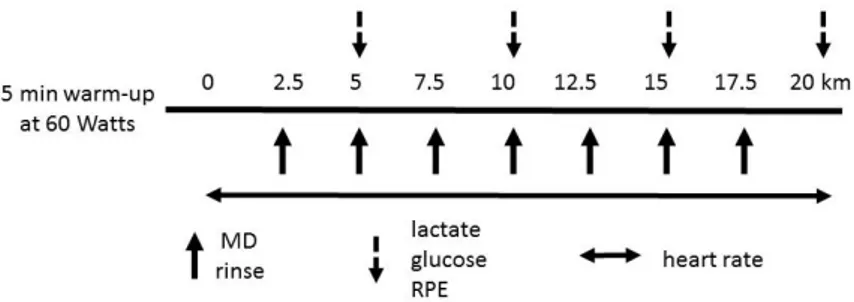 Figure 1. Outline of tests and testing procedures. MD: maltodextrin, RPE: rating of perceived exertion