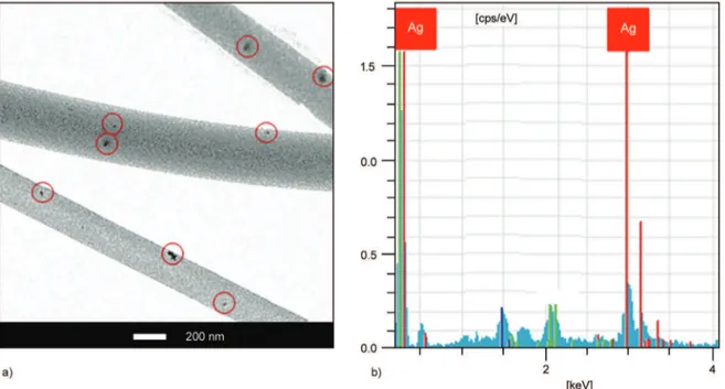 Figure 5. TEM images of (a) NFC-2/AgNPs (Black points in red circles indicate AgNPs with nano-sizes around 20–40 nm)