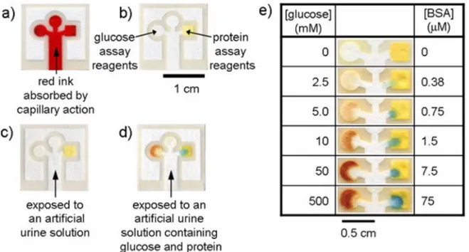 Figure 1.8 An example of a paper based bioassay by Martinez et al. [50] a) The  Waterman  ink  absorbs by capillary action to the photolithography patterned  channels in a chromatography paper