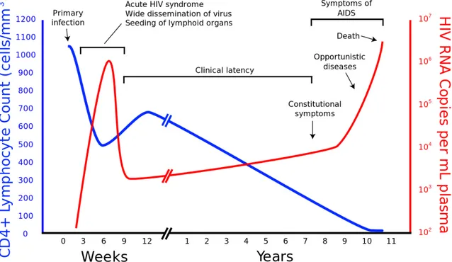 Figure  2.6 The relation of HIV  viral  load  and  CD4+T  cell  count  according  to  the  progress of infection