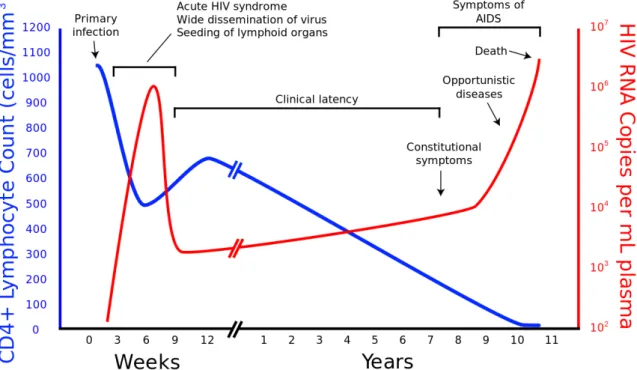 Figure  2.6 The relation of HIV  viral  load  and  CD4+T  cell  count  according  to  the  progress of infection