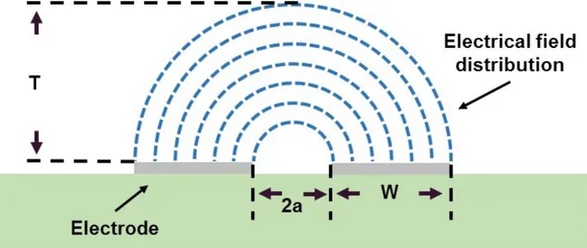 Figure  3.13  Electrical field distribution  for coplanar electrodes, T is the field  penetration depth