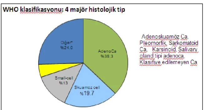 Şekil 2.2. Akciğer Kanseri Histolojik Sınıflaması (2004 SEER database) 