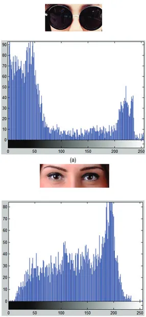 Figure 4 An example of sunglasses detection using image histograms 