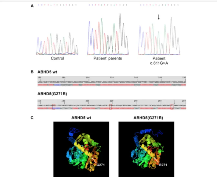 Fig. 4 Molecular analysis of CDS patient and bioinformatic evaluation of the identified mutation