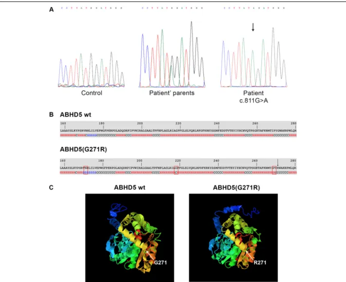 Fig. 4 Molecular analysis of CDS patient and bioinformatic evaluation of the identified mutation
