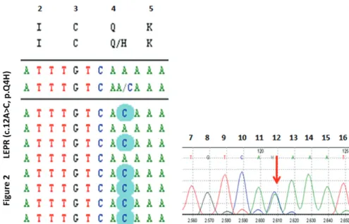 Figure 2. DNA sequencing by the next-generation sequencing (NGS) method revealed a novel heterozygous c.12A&gt;C, p.Q4H 