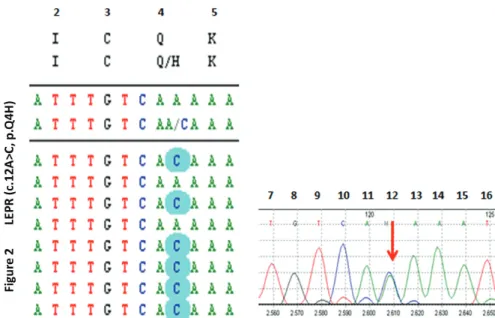 Figure 2. DNA sequencing by the next-generation sequencing (NGS) method revealed a novel heterozygous c.12A>C, p.Q4H 