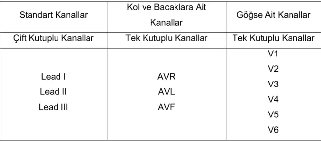 Çizelge 2.1 EKG Kanal Sistemi 