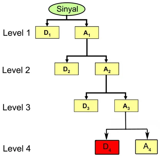 Şekil 3.3 Dalgacık dönüşümünün seviyesi arttırıldıkça, yaklaşım katsayıları (A 1 ,  A 2 , A 3 , A 4 ) ve detaylı katsayıların (D 1 , D 2 , D 3 , D 4 ) nasıl üretildiğini gösteren blok  diyagram