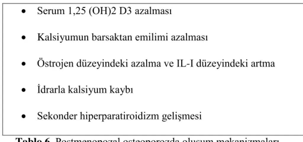 Tablo 6. Postmenopozal osteoporozda oluĢum mekanizmaları 