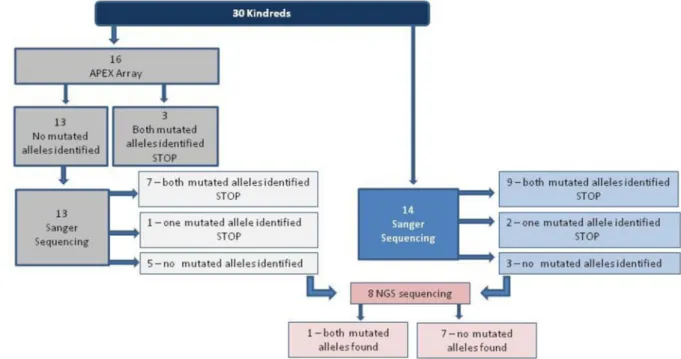 Figure 1. Mutation screening algorithm for genetic diagnosis of patients for ALMS1 gene