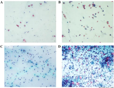 Figure 1. Vaginal smears of rats. (A‑D) Pro‑estrus, estrus, metestrus and diestrus in the control group (Papanicolaou stain; magnification, x100)