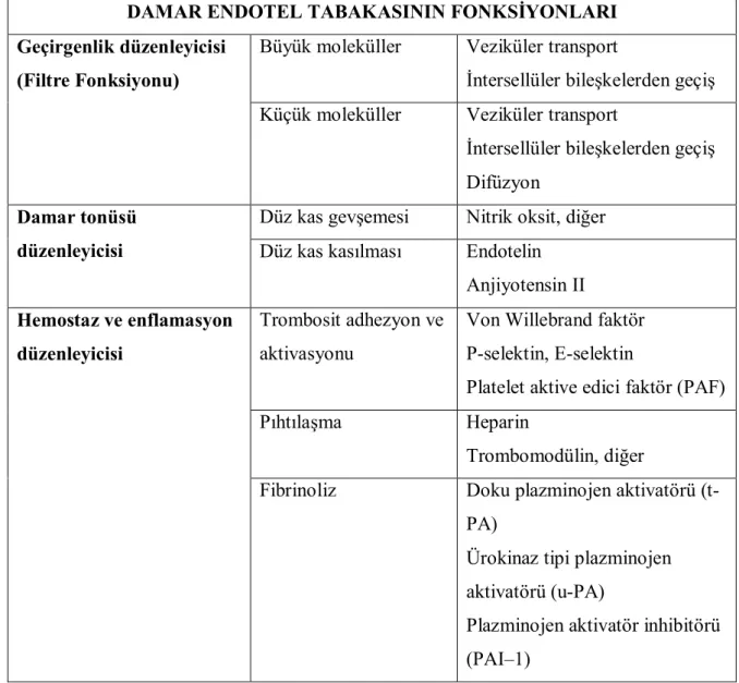 Tablo 2.1. Damar endotel tabakasının fonksiyonları. Hansson GK, Nilsson J. Pathogenesis of