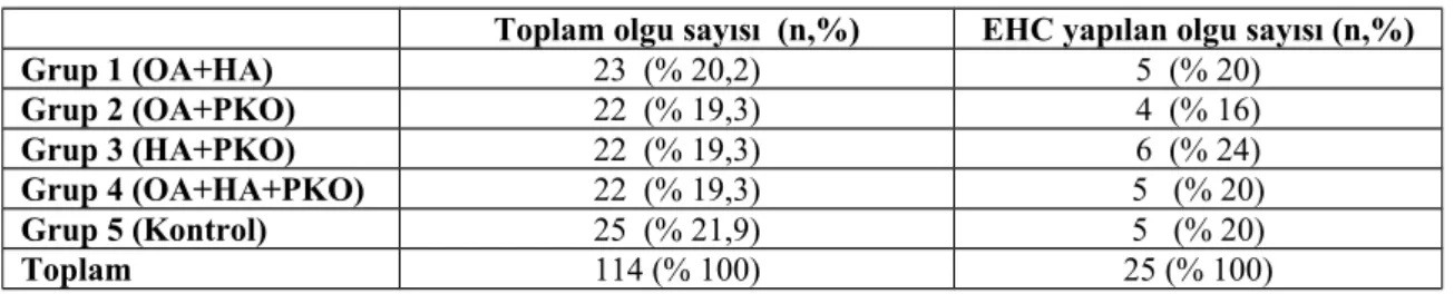 Tablo 7. Her Gruptaki Vaka Sayısı ve Yüzde Olarak Dağılımı