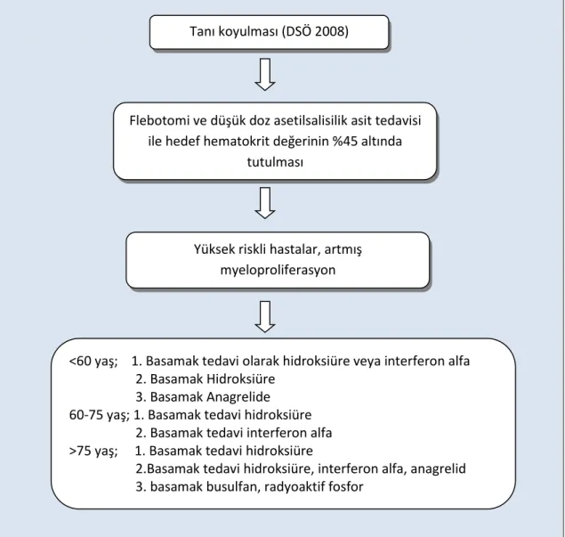 Şekil 2.3. PV’de tedavi algoritması 