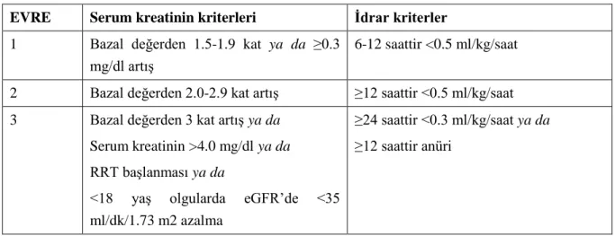 Tablo 2.7. KDİNGO kriterlerine göre evreler 
