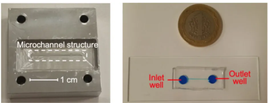 Fig. 2 Microfluidic platform (left) and optical hardware (right)
