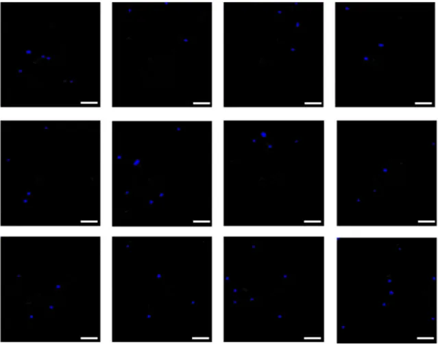 Fig. 5 2D fluorescence images of PYMG stained somatic cells in a certain volume of RSM, captured by a monochrome CCD camera