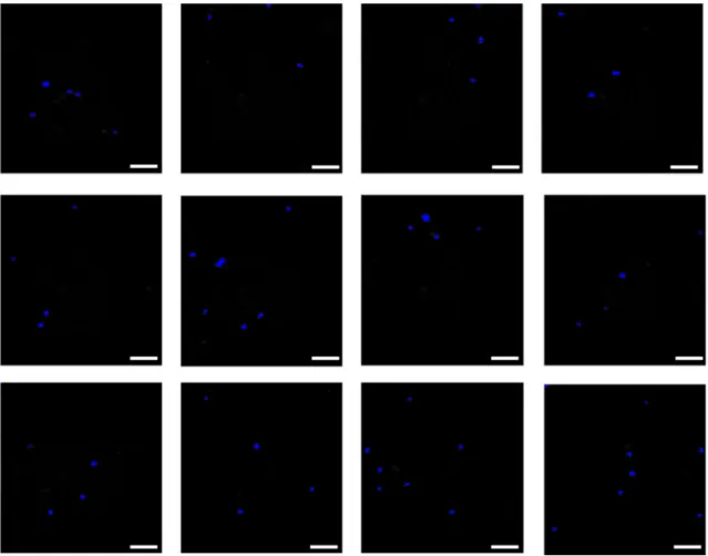 Fig. 5 2D fluorescence images of PYMG stained somatic cells in a certain volume of RSM, captured by a monochrome CCD camera