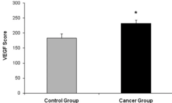 Figure 1. Distribution of vascular-endothelial-growth-factor scores in the control and cancer groups