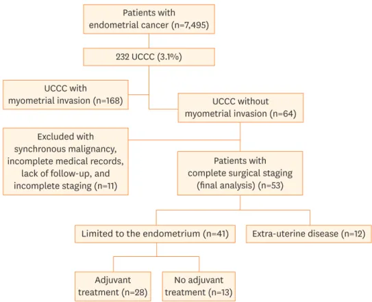 Fig. 1.  Inclusion process of the patients.  UCCC, uterine clear cell carcinoma.