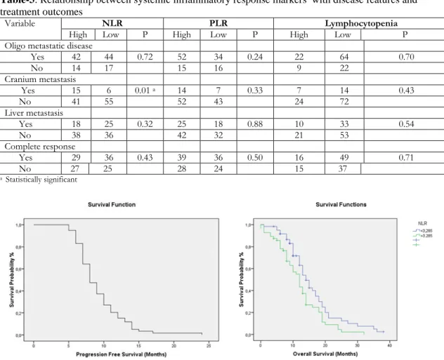 Figure 2. Kaplan–Meier estimates of progression-free 