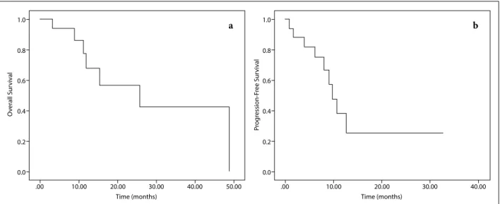 Fig. 3.  Kaplan–Meier curves demonstrating (a) overall survival and (b) progression-free survival.