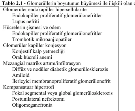 Tablo 2.1 - Glomerüllerin boyutunun büyümesi ile ilişkili olan durumlar (2,13)    Glomerüler endokapiller hipersellülarite  