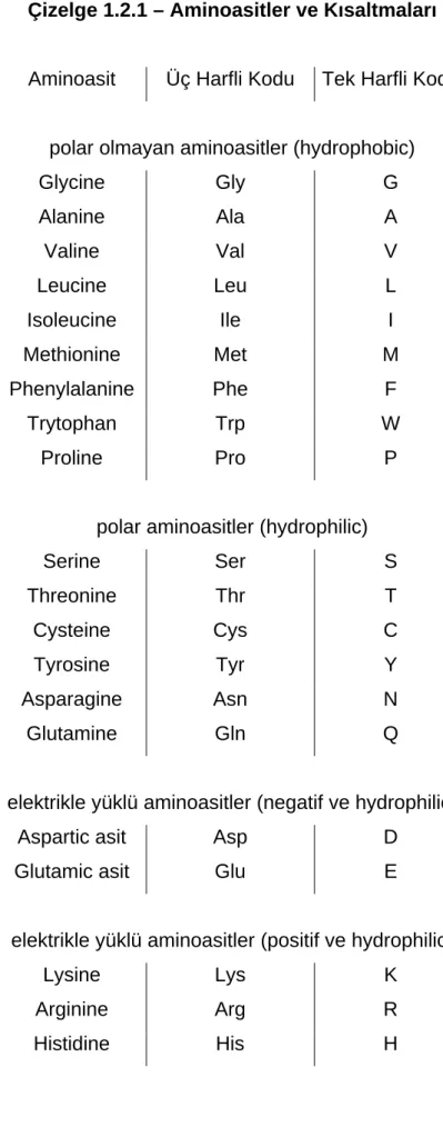 Çizelge 1.2.1 – Aminoasitler ve Kısaltmaları 