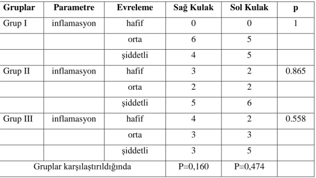 Tablo 6: İnflama yonun gruplar ara ında ve kulaklar ara ında dağılımı 