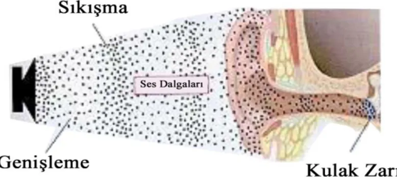 Şekil 4: Ses dalgalarının atmosferden kulağa ulaşması (27)  