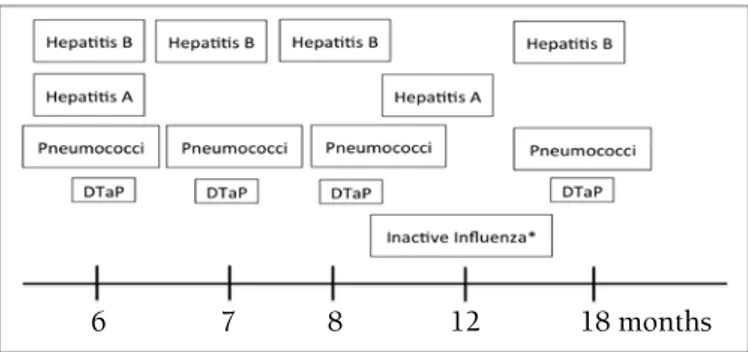 Figure 1. Vaccination program after allogeneic stem 