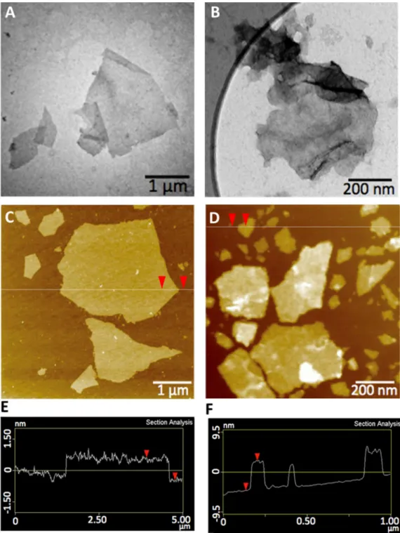 Figure 2. Physical characterization of the GO and rGO nanoparticles