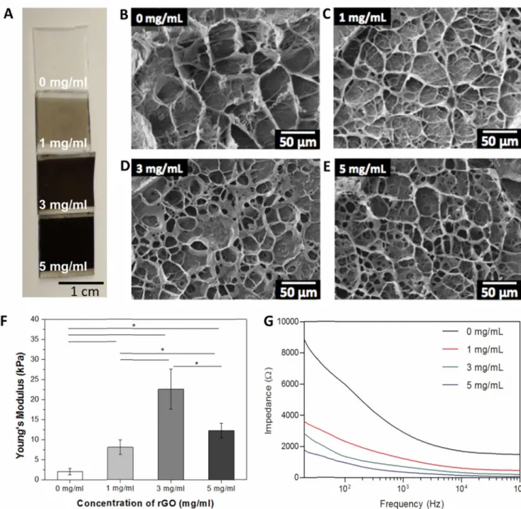 Figure 3. Structural and electrical properties of pristine GelMA and rGO-GelMA hydrogels (A) Optical images and (B–E) SEM images of rGO-GelMA hydrogels with various 