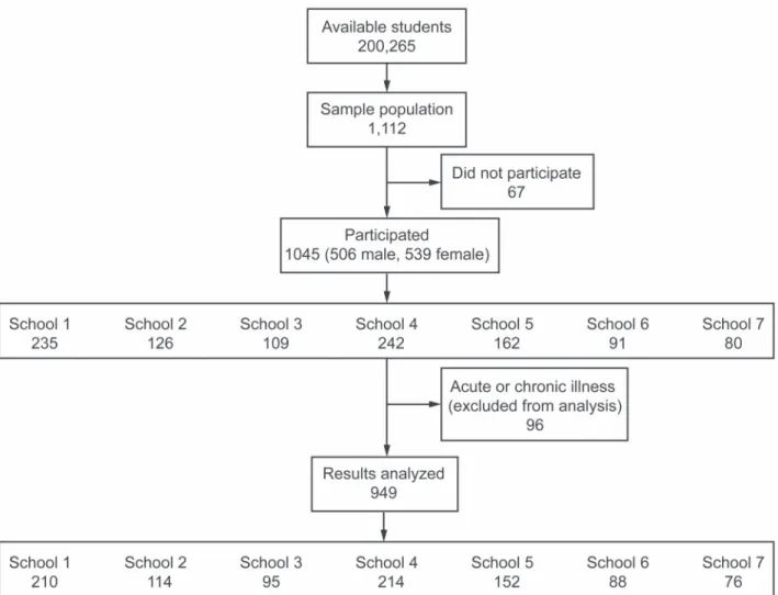Fig. 1. Flow diagram illustrating participants entered into the study.