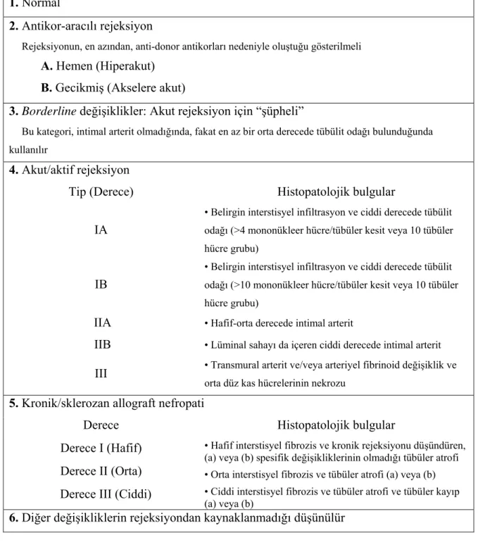 Tablo 2.2 Banff 97 renal allograft biyopsilerinin tanısal kategorileri  1. Normal 