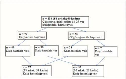 Şekil 1. Araştırmaya alınan hastaların gruplara ayrılması