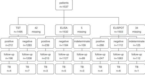 Figure 1. Flow chart of test results and cases of active tuberculosis (TB) in patients included in the study