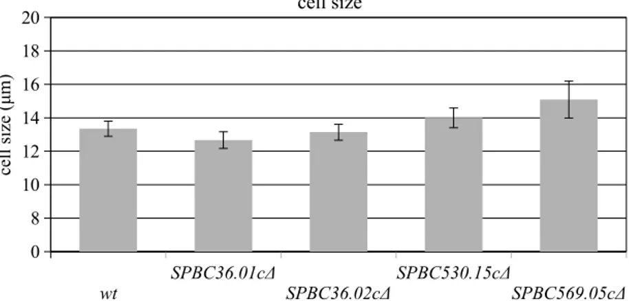 Figure 2. Cell size analysis of the wild-type, SPBC36.01c∆, SPBC36.02c∆, SPBC530.15c∆,  and SPCC569.05c∆ cells