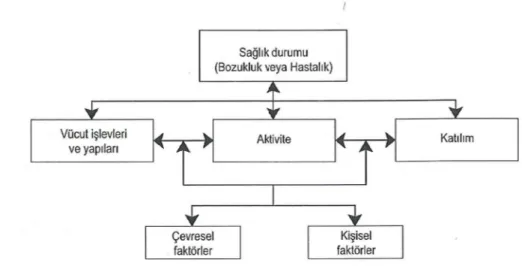 Şekil 2.1. ICF’in Özürlülük Modeli 