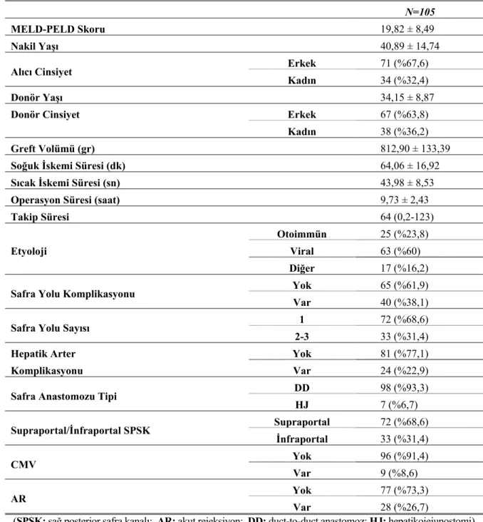 Tablo 4.1. Demografik veriler 